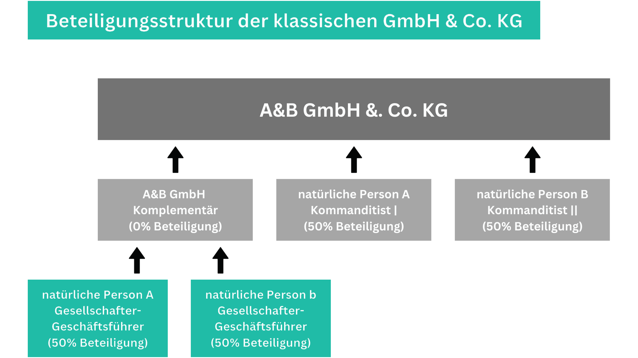 Beteiligungsstruktur der klassischen GmbH Co KG