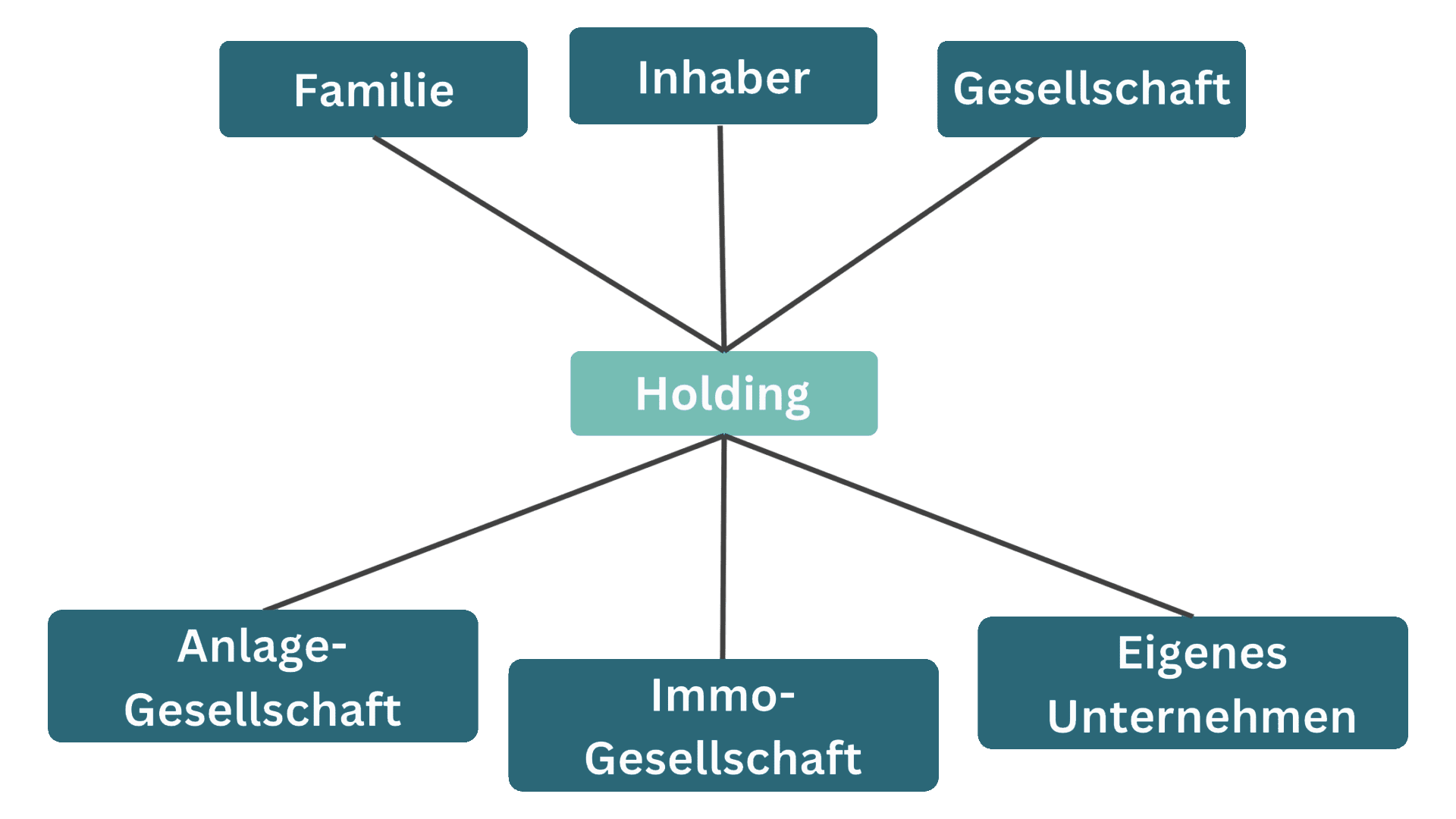 Das Holding GmbH-Konstrukt